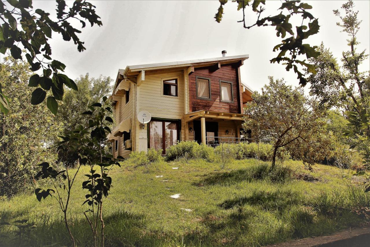 普雷韦扎Wooden House别墅 外观 照片